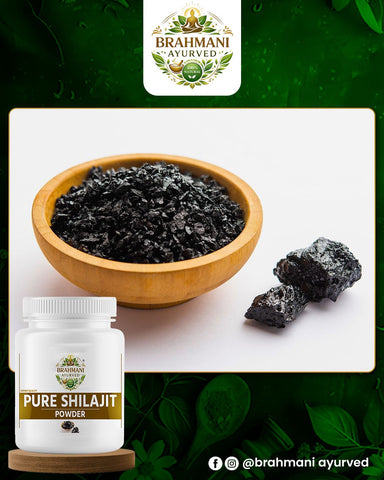 Shilajit Powder