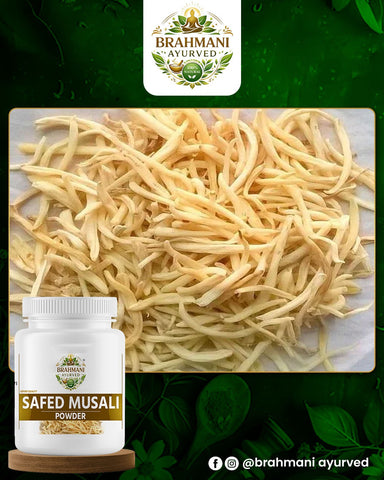 Safed Musali Powder