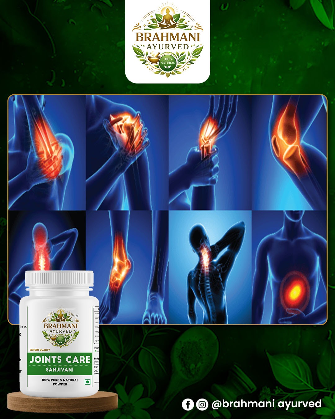 Joints Care Powder 76Gm