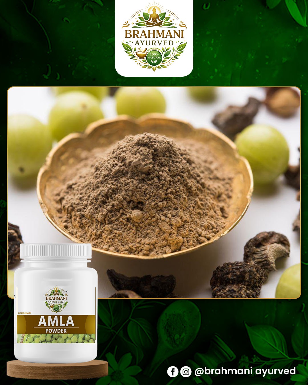 Amla Powder 100Gm