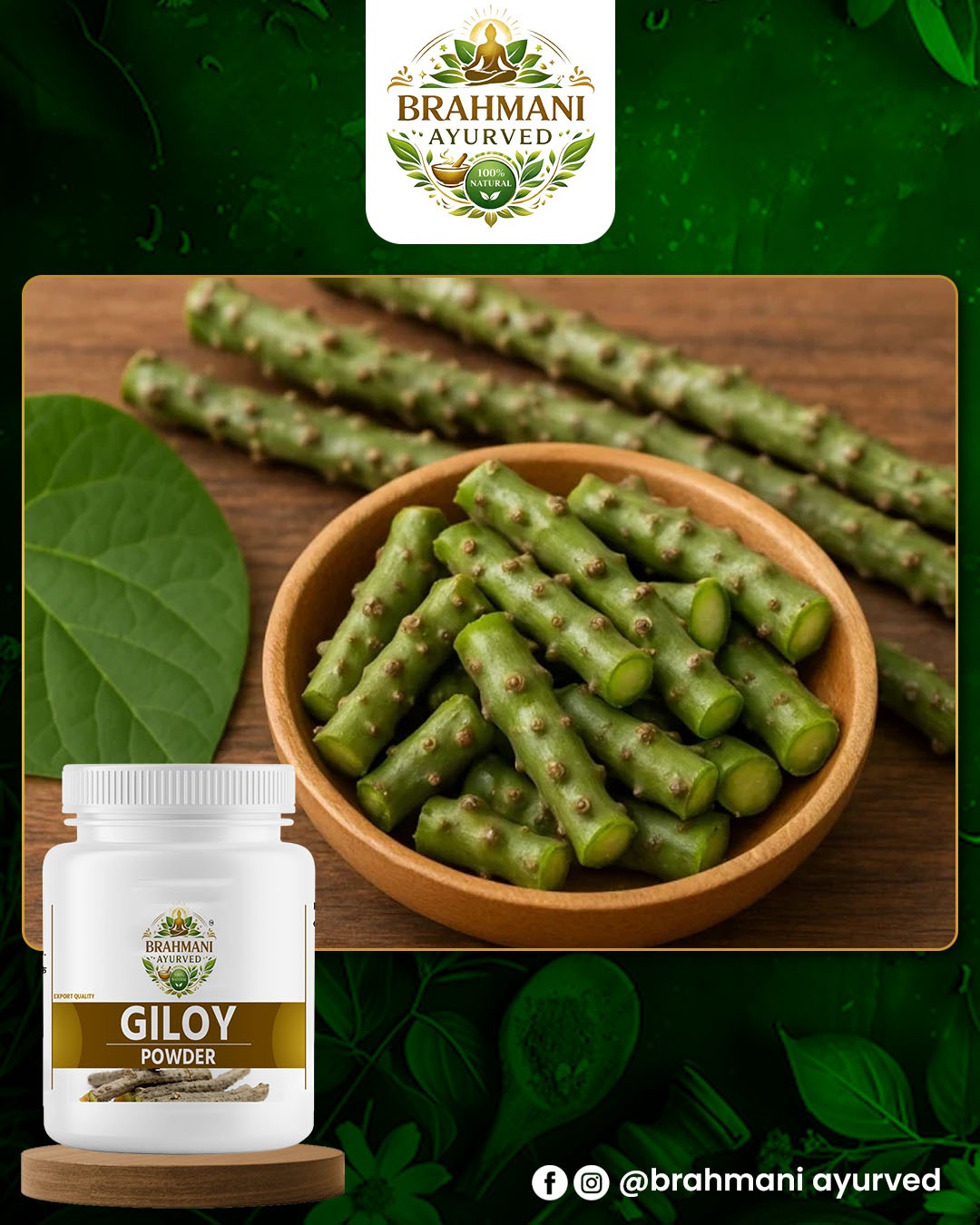 Giloy Powder 100Gm