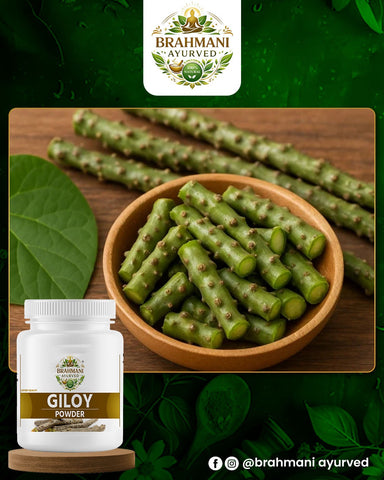 Giloy Powder 100Gm
