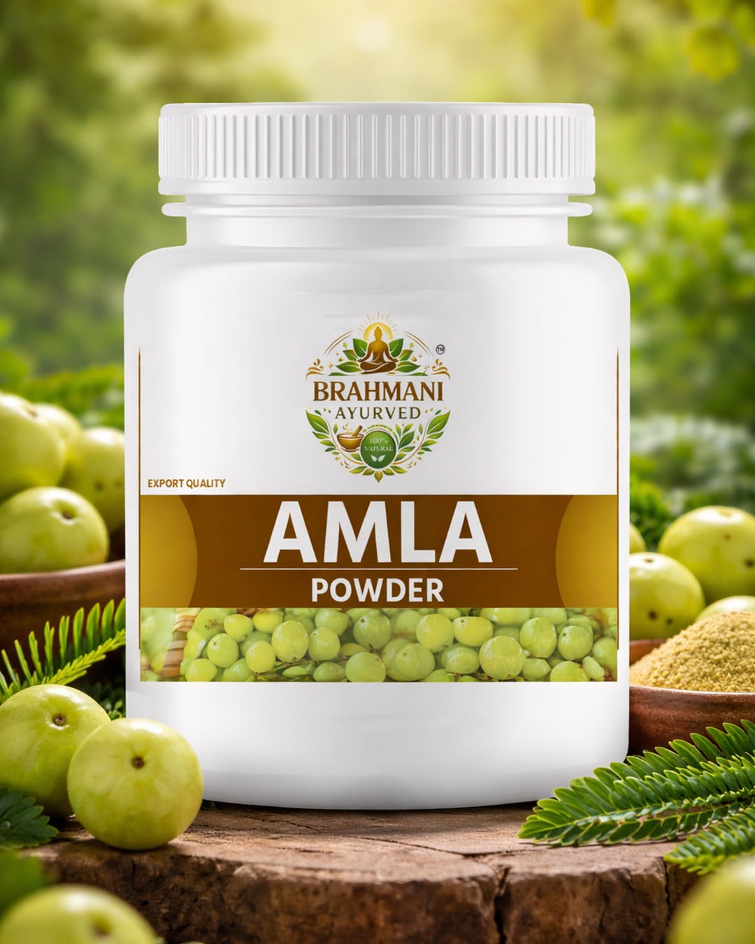 Amla Powder 100Gm