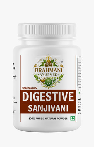 Digestive Sanjivani Powder 76Gm